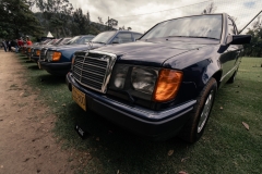 GRA07125