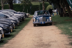 GRA07130
