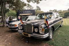 GRA07497