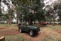 GRA07504