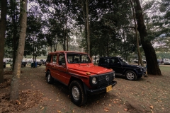 GRA07513