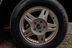 GRA07517