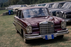 GRA07837