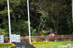 DSC0155