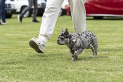 Fuirfans-154